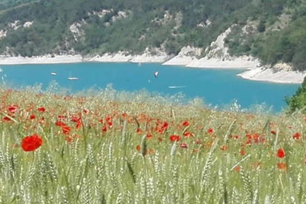 Gite De Charme : La Grange Au Lac Azur Treffort  Kültér fotó
